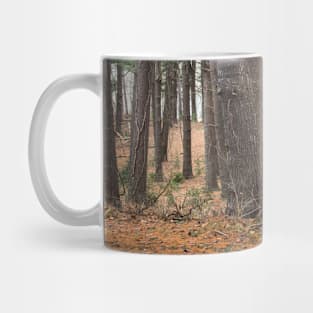 A walk in the woods Mug